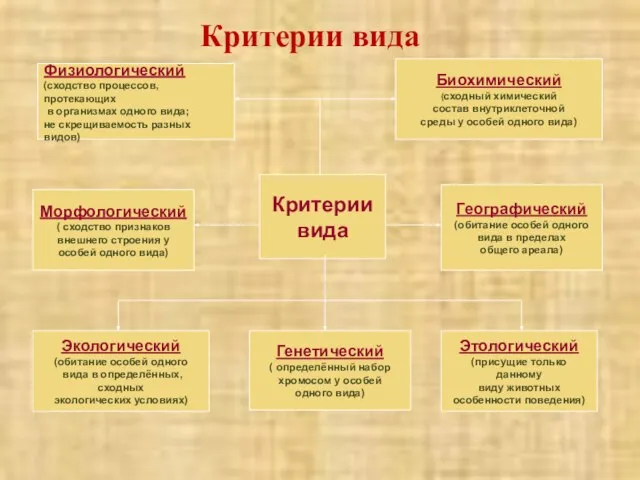 Критерии вида Физиологический (сходство процессов, протекающих в организмах одного вида; не скрещиваемость