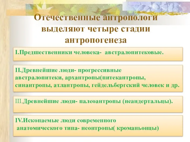 Отечественные антропологи выделяют четыре стадии антропогенеза I.Предшественники человека- австралопитековые. IV.Ископаемые люди современного