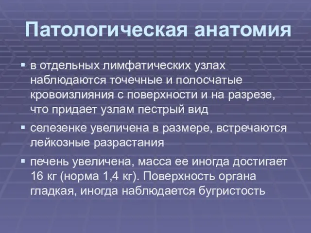 Патологическая анатомия в отдельных лимфатических узлах наблюдаются точечные и полосчатые кровоизлияния с