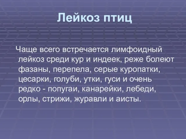 Лейкоз птиц Чаще всего встречается лимфоидный лейкоз среди кур и индеек, реже