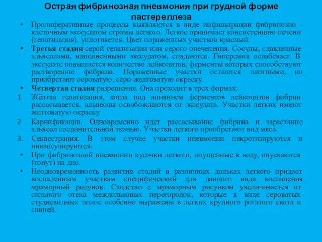 Острая фибринозная пневмония при грудной форме пастереллеза Пролиферативные процессы выявляются в виде