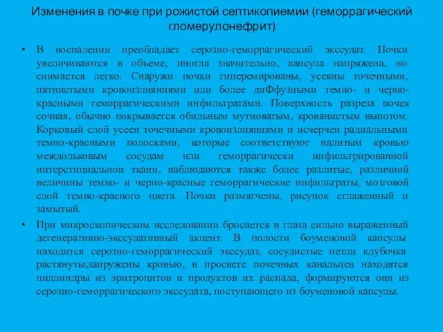 Изменения в почке при рожистой септикопиемии (геморрагический гломерулонефрит) В воспалении преобладает серозно-геморрагический