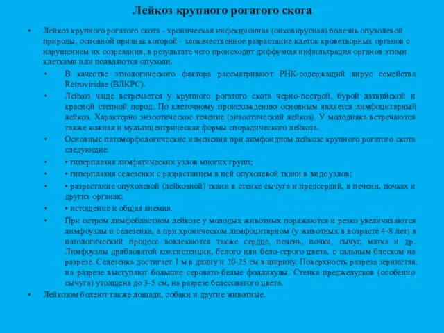 Лейкоз крупного рогатого скота Лейкоз крупного рогатого скота - хроническая инфекционная (онковирусная)