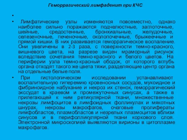 Геморрагический лимфаденит при КЧС Лимфатические узлы изменяются повсеместно, однако наиболее сильно поражаются