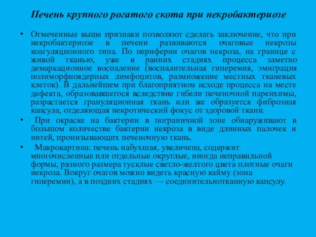 Печень крупного рогатого скота при некробактериозе Отмеченные выше признаки позволяют сделать заключение,