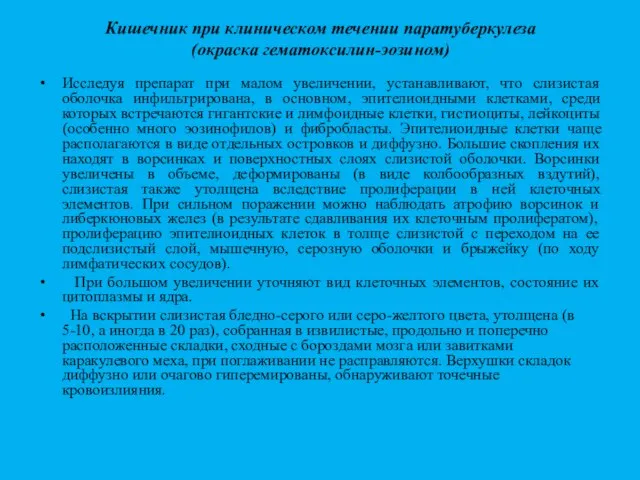 Кишечник при клиническом течении паратуберкулеза (окраска гематоксилин-эозином) Исследуя препарат при малом увеличении,