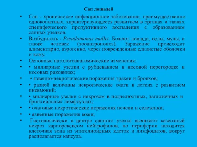 Сап лошадей Сап - хроническое инфекционное заболевание, преимущественно однокопытных, характеризующееся развитием в