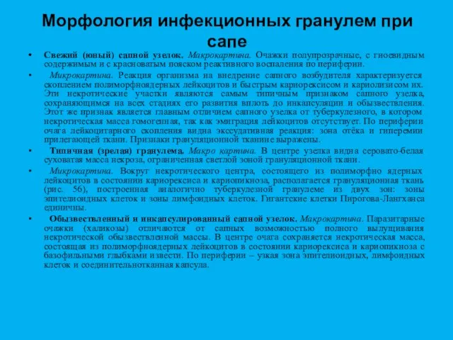 Морфология инфекционных гранулем при сапе Свежий (юный) сапной узелок. Макрокартина. Очажки полупрозрачные,