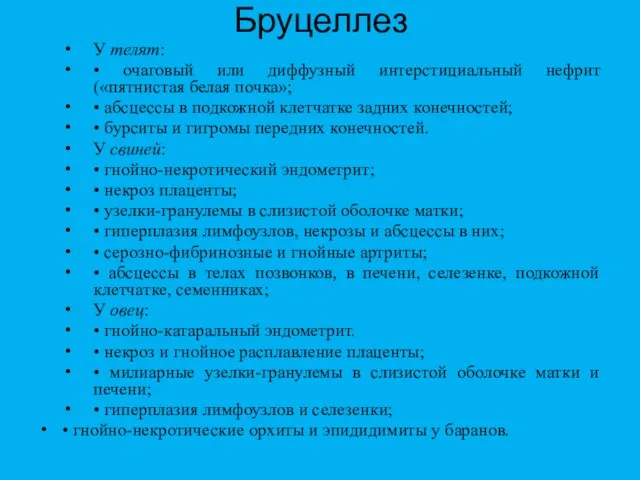 Бруцеллез У телят: • очаговый или диффузный интерстициальный нефрит («пятнистая белая почка»;