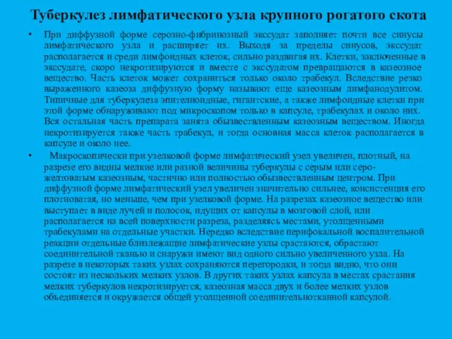 Туберкулез лимфатического узла крупного рогатого скота При диффузной форме серозно-фибринозный экссудат заполняет