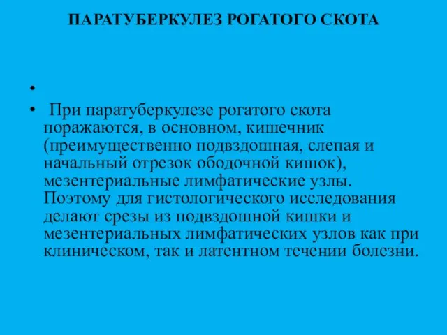 ПАРАТУБЕРКУЛЕЗ РОГАТОГО СКОТА При паратуберкулезе рогатого скота поражаются, в основном, кишечник (преимущественно