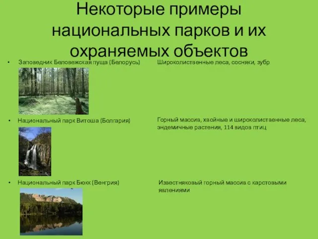 Некоторые примеры национальных парков и их охраняемых объектов Заповедник Беловежская пуща (Белорусь)