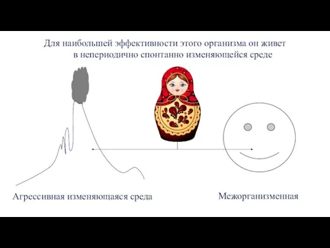 Для наибольшей эффективности этого организма он живет в непериодично спонтанно изменяющейся среде Межорганизменная Агрессивная изменяющаяся среда