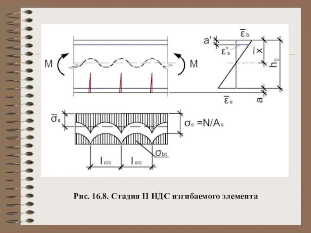 Рис. 16.8. Стадия II НДС изгибаемого элемента