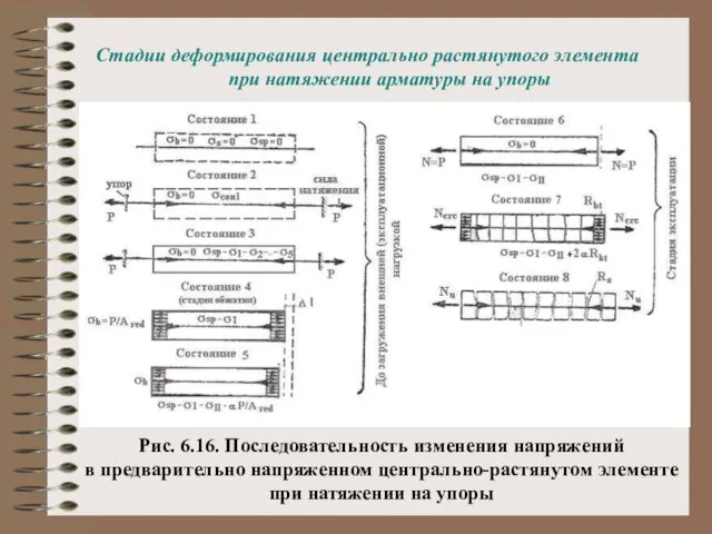 Стадии деформирования центрально растянутого элемента при натяжении арматуры на упоры Рис. 6.16.