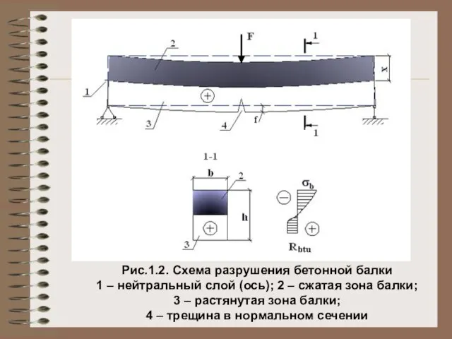 Рис.1.2. Схема разрушения бетонной балки 1 – нейтральный слой (ось); 2 –