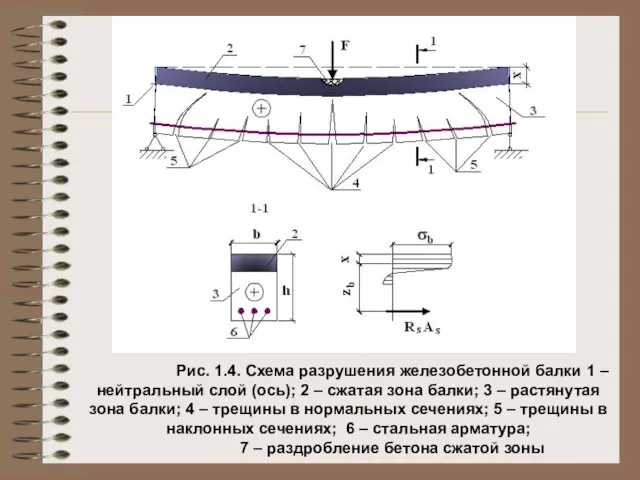 Рис. 1.4. Схема разрушения железобетонной балки 1 – нейтральный слой (ось); 2