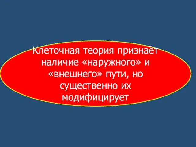 Клеточная теория признаѐт наличие «наружного» и «внешнего» пути, но существенно их модифицирует