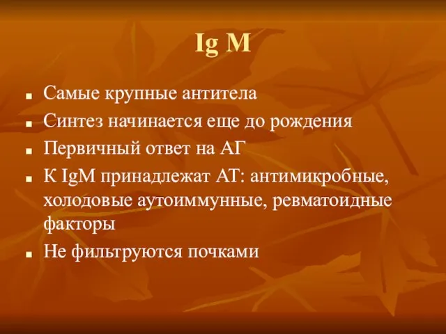 Ig M Самые крупные антитела Синтез начинается еще до рождения Первичный ответ