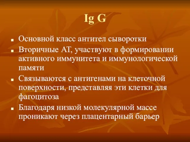 Ig G Основной класс антител сыворотки Вторичные АТ, участвуют в формировании активного