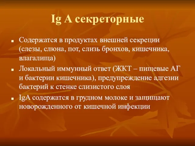 Ig A секреторные Содержатся в продуктах внешней секреции (слезы, слюна, пот, слизь