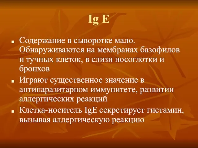 Ig E Содержание в сыворотке мало. Обнаруживаются на мембранах базофилов и тучных