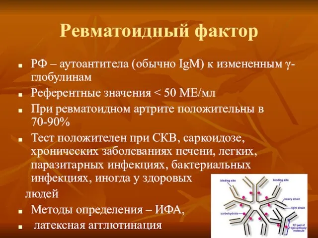 Ревматоидный фактор РФ – аутоантитела (обычно IgM) к измененным γ-глобулинам Референтные значения