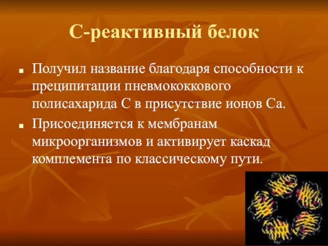 С-реактивный белок Получил название благодаря способности к преципитации пневмококкового полисахарида С в