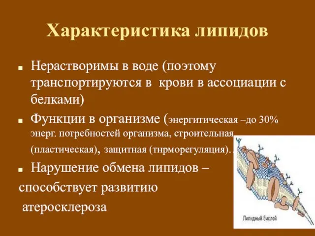 Характеристика липидов Нерастворимы в воде (поэтому транспортируются в крови в ассоциации с