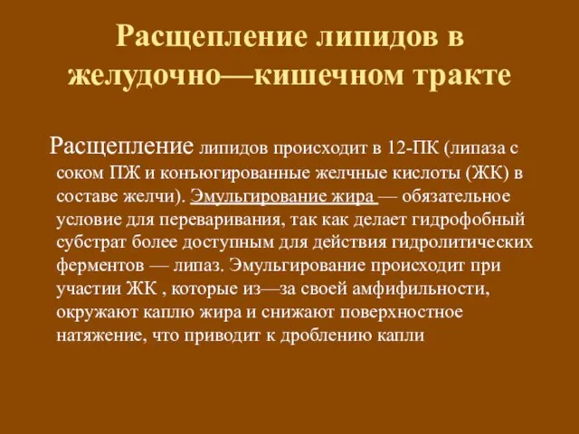 Расщепление липидов в желудочно—кишечном тракте Расщепление липидов происходит в 12-ПК (липаза с