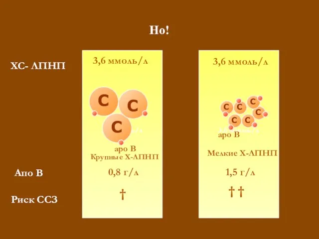 Но! 3,6 ммоль/л 3,6 ммоль/л Мелкие Х-ЛПНП 1,5 г/л † † apo