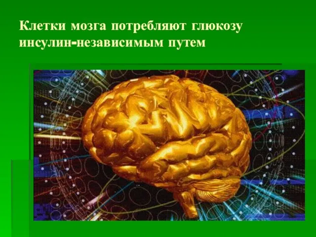 Клетки мозга потребляют глюкозу инсулин-независимым путем