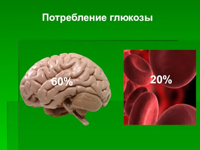 Потребление глюкозы 60% 20%