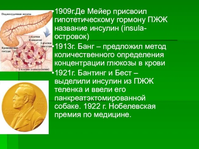 1909г.Де Мейер присвоил гипотетическому гормону ПЖЖ название инсулин (insula-островок) 1913г. Банг –