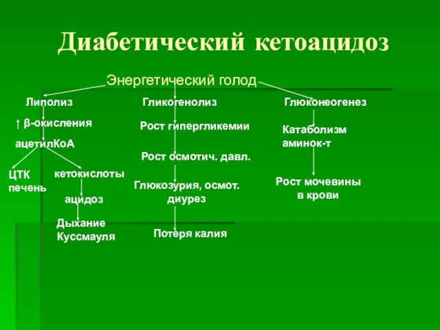 Диабетический кетоацидоз Энергетический голод Липолиз Гликогенолиз Глюконеогенез ↑ β-окисления ацетилКоА ЦТК печень