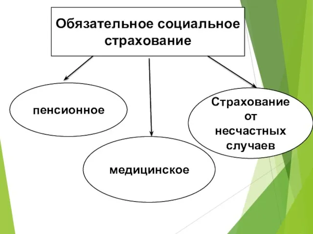 Обязательное социальное страхование пенсионное медицинское Страхование от несчастных случаев