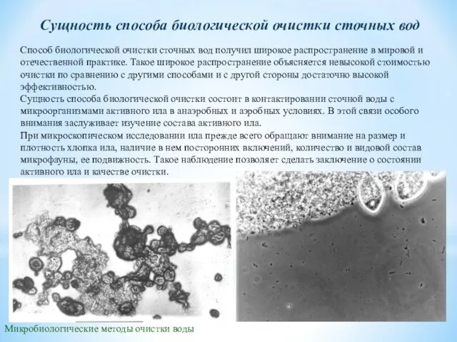 Микробиологические методы очистки воды Сущность способа биологической очистки сточных вод Способ биологической