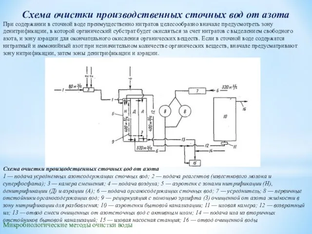 Микробиологические методы очистки воды Схема очистки производственных сточных вод от азота При