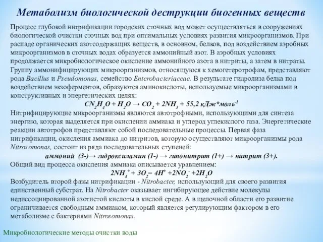 Метаболизм биологической деструкции биогенных веществ Процесс глубокой нитрификации городских сточных вод может