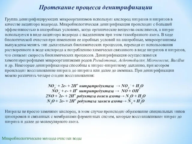 Протекание процесса денитрификации Группа денитрифицирующих микроорганизмов использует кислород нитратов и нитритов в