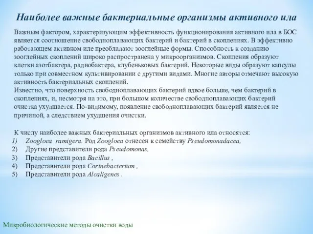 Микробиологические методы очистки воды Наиболее важные бактериальные организмы активного ила Важным фактором,