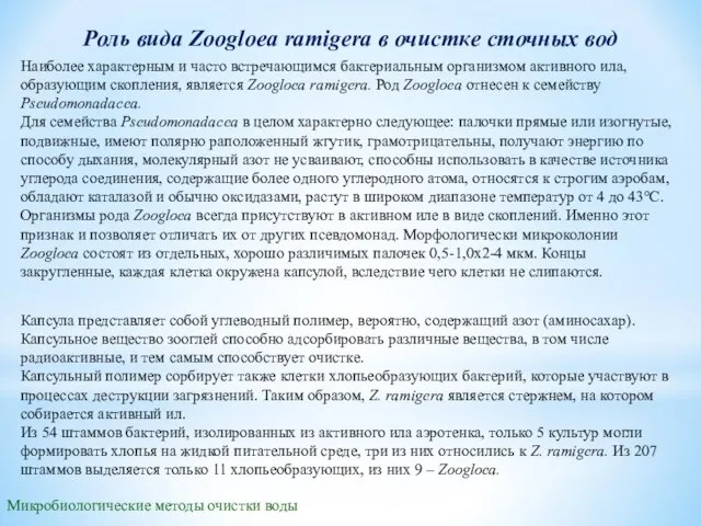 Микробиологические методы очистки воды Роль вида Zoogloea ramigera в очистке сточных вод