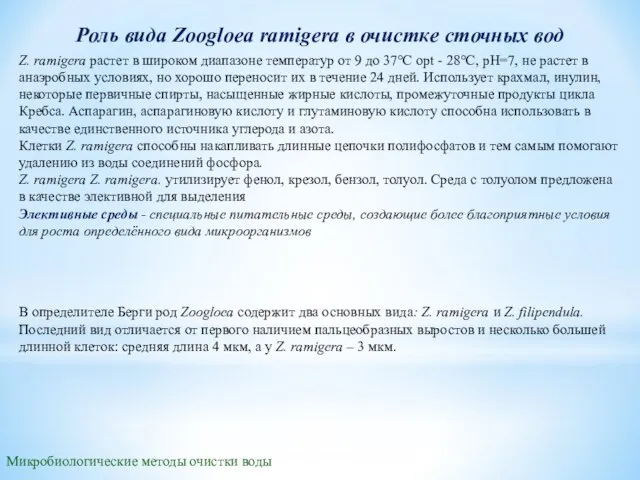 Микробиологические методы очистки воды Роль вида Zoogloea ramigera в очистке сточных вод