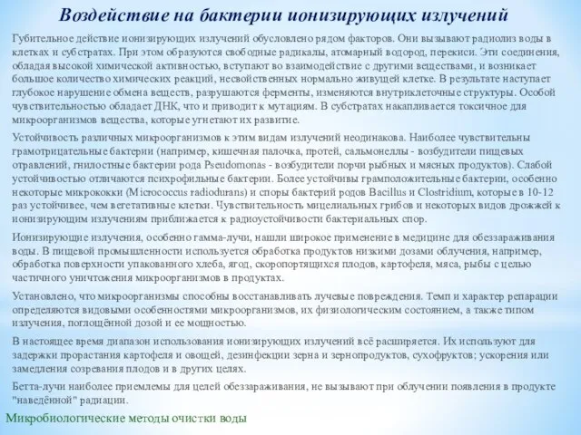 Воздействие на бактерии ионизирующих излучений Губительное действие ионизирующих излучений обусловлено рядом факторов.