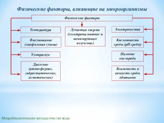 Микробиологические методы очистки воды Физические факторы, влияющие на микроорганизмы Физические факторы Температура