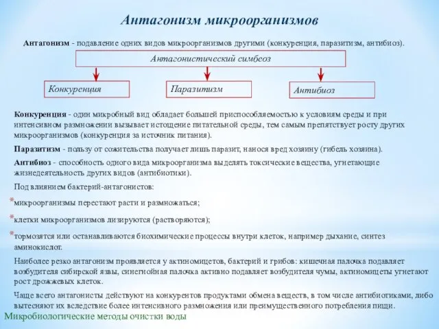 Антагонизм - подавление одних видов микроорганизмов другими (конкуренция, паразитизм, антибиоз). Микробиологические методы