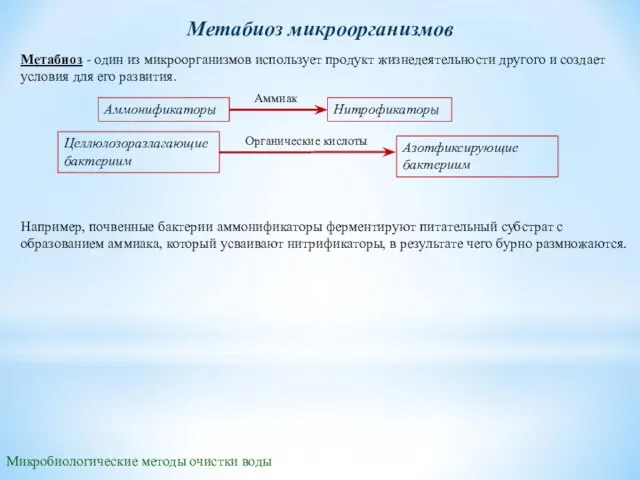 Метабиоз - один из микроорганизмов использует продукт жизнедеятельности другого и создает условия