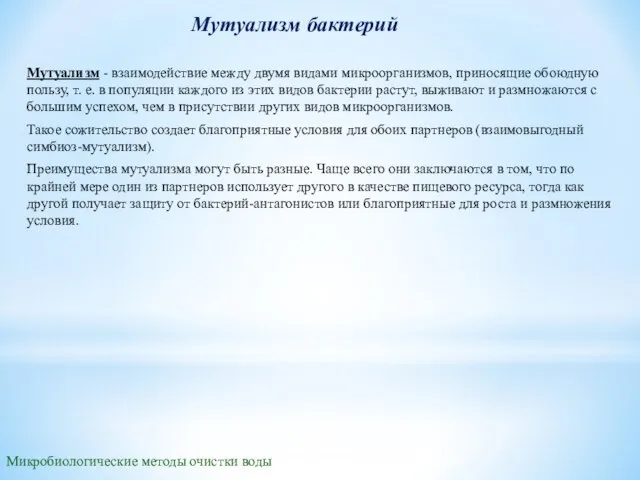 Мутуализм бактерий Мутуализм - взаимодействие между двумя видами микроорганизмов, приносящие обоюдную пользу,