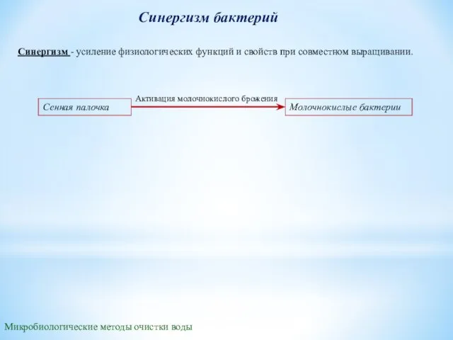 Синергизм бактерий Синергизм - усиление физиологических функций и свойств при совместном выращивании.