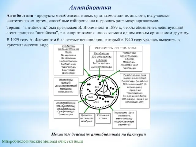 Антибиотики Микробиологические методы очистки воды Антибиотики - продукты метаболизма живых организмов или